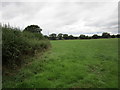 Grass field near Little Knighton Farm