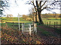 Llwybr ger Glanrhosan / Footpath near Glanrhosan