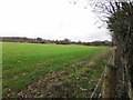 Field next to Wexham Park Lane