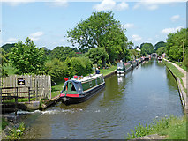 SJ8512 : Shropshire Union Canal below Wheaton Aston Lock, Staffordshire by Roger  D Kidd