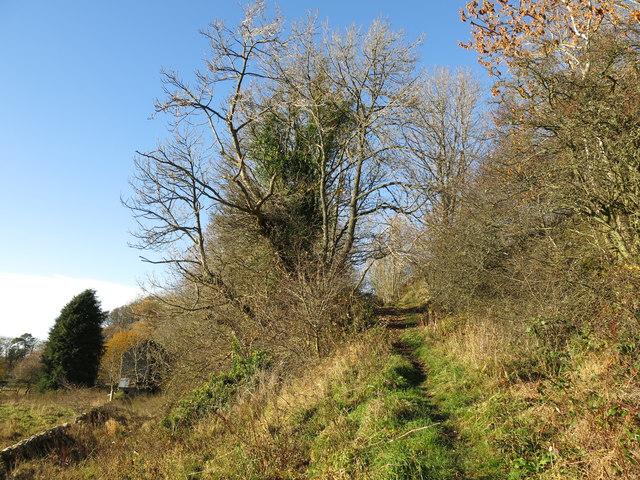 Path east of The Hermitage