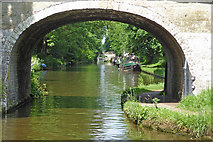 SJ8512 : Shropshire Union Canal by Wheaton Aston in Staffordshire by Roger  D Kidd