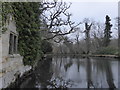 TQ6835 : Scotney Castle moat in January by Marathon