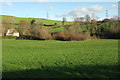 Field and cottage, Wayesford