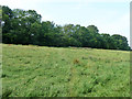 Footpath from Goatsfield Road to Lusted Hall Lane