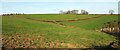 SX7667 : Grass fields near Higher Penn by Derek Harper