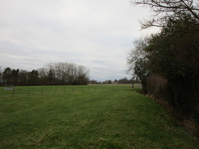 Naburn Wood, York - area information, map, walks and more