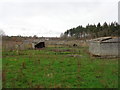 Piggery near allotment gardens Besford Road