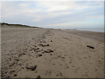 TF7045 : Beach near Gore Point by Hugh Venables