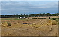 NU1633 : Farmland and bales near Glororum by Mat Fascione