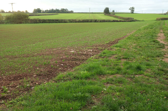 Farmland near Rowford