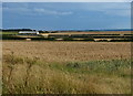 NU1733 : Northumberland farmland near Burton by Mat Fascione