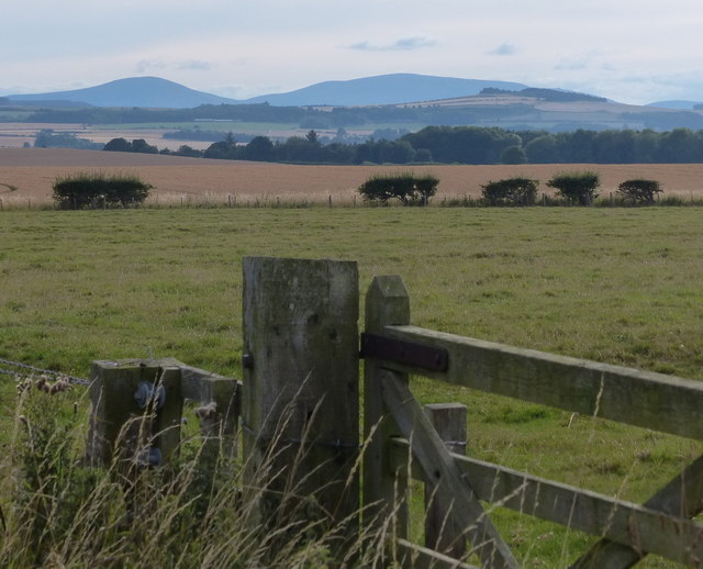 Distant view of the Cheviot Hills