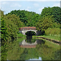 SJ8414 : Canal at Shushions Bridge near Marston in Staffordshire by Roger  Kidd
