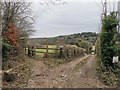 Access Road to Wellhouse Farm