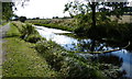 Disused Grantham Canal near Vimy Ridge Farm