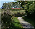 Towpath along the disused Grantham Canal