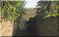 Path, Wolborough Hill