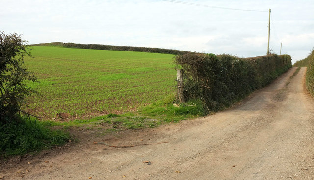 Field by the A3122