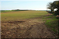 Arable field, West Woodbury