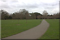 Path towards the lake, Peckham Rye Park