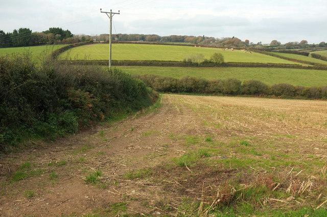 Field, Lower Wadstray
