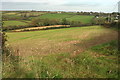 Farmland west of Bugford