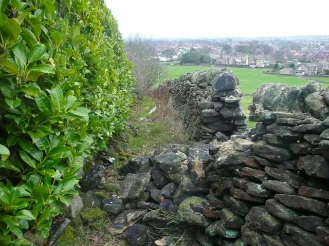 Halifax Footpath 253 obstructed by a collapsed wall, Illingworth