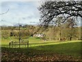 Farmland towards Woodcote Farm