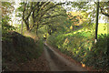 Lane near Thorn Farm