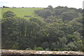 SW9451 : View from Coombe Viaduct by N Chadwick