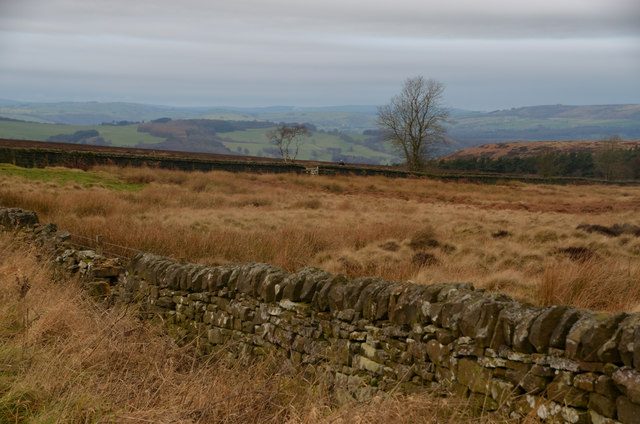 Dry stone wall on Beeley Moor, Derbyshire, UK
