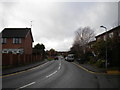 East end of Austin Road, Charford