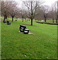 Benches and trees in Pontypool Park