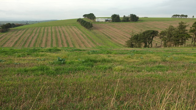 Farmland near Higher Coombe Farm