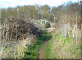 Path over the M4