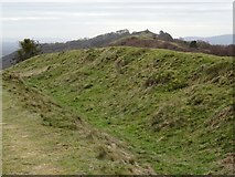 SO7639 : The Shire Ditch on Hangman's Hill by Philip Halling