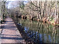 Montgomery Canal in winter