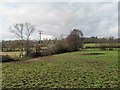 Fields near Alderbourne Farm