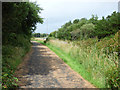 Cycle path at Gailes