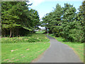 Cycle path at Marine Drive