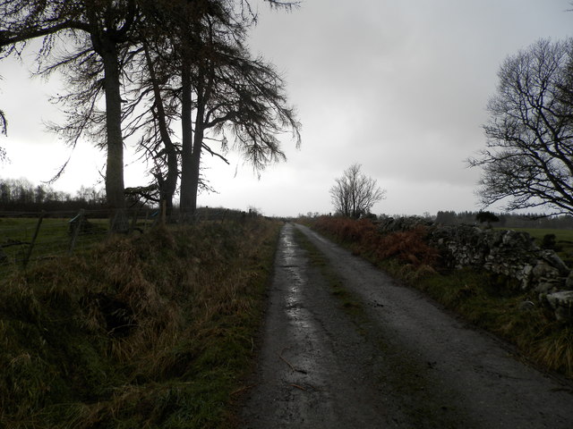 Farm road at Upper Muckovie