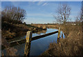 TA0834 : River Hull, near Kingswood by Paul Harrop