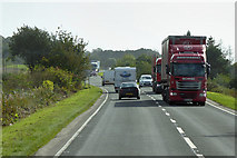 NX4855 : HGV on the A75 near Carsluith by David Dixon