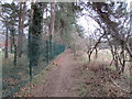 Bridleway to Windmill Lane