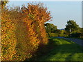 Kinoulton Lane near Kinoulton