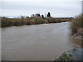 SE6232 : The River Ouse at Selby, just below high tide by Christine Johnstone