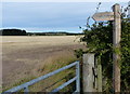 NU1135 : Farmland near Easington Grange by Mat Fascione