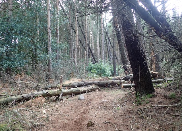 Obstacles on the Blue Route mountain bike path