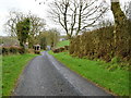 Wide grass verges Blackfort Road, Rathfraggan